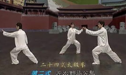 二十四式太极拳教学视频,入门必看，轻松掌握太极拳精髓